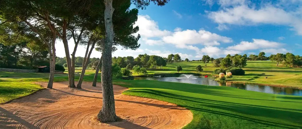 golfmaioris golfmaioris