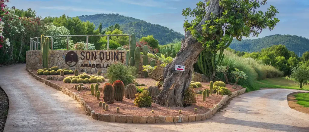 mgg-sonquint_1400 mgg-sonquint_1400