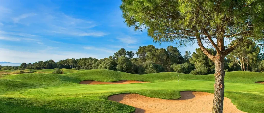 sonantemost-header-1400_ sonantemost-header-1400_